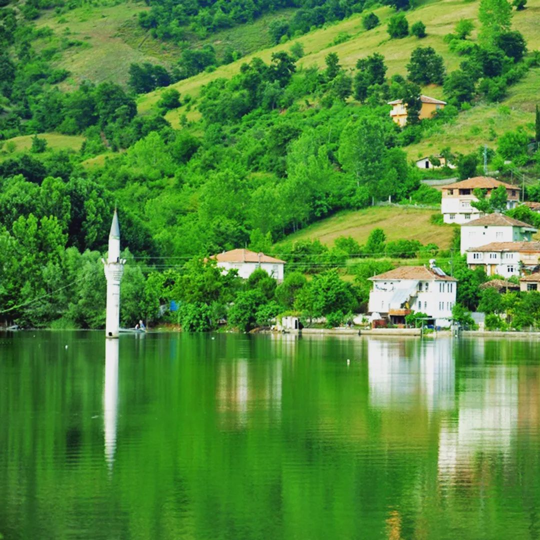 Bafranın tarihi